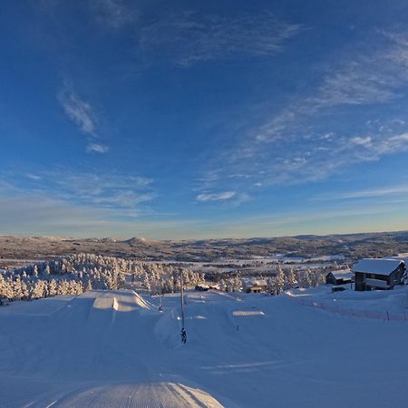 Toppvillan - Ski In - Ski Out - 200 M Till Toppen Och Cykelleder Jarvso Bagian luar foto